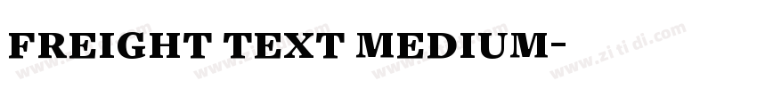 freight text medium字体转换 freight text medium字体转换